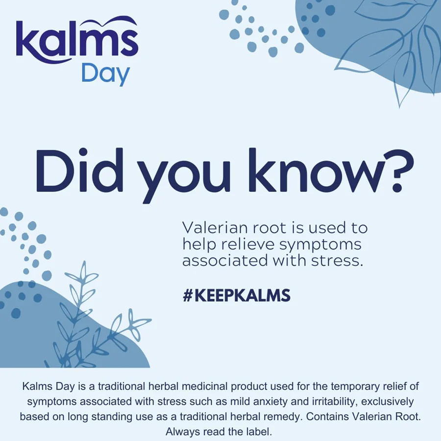 Kalms Day (168 Tablets) - Image 2