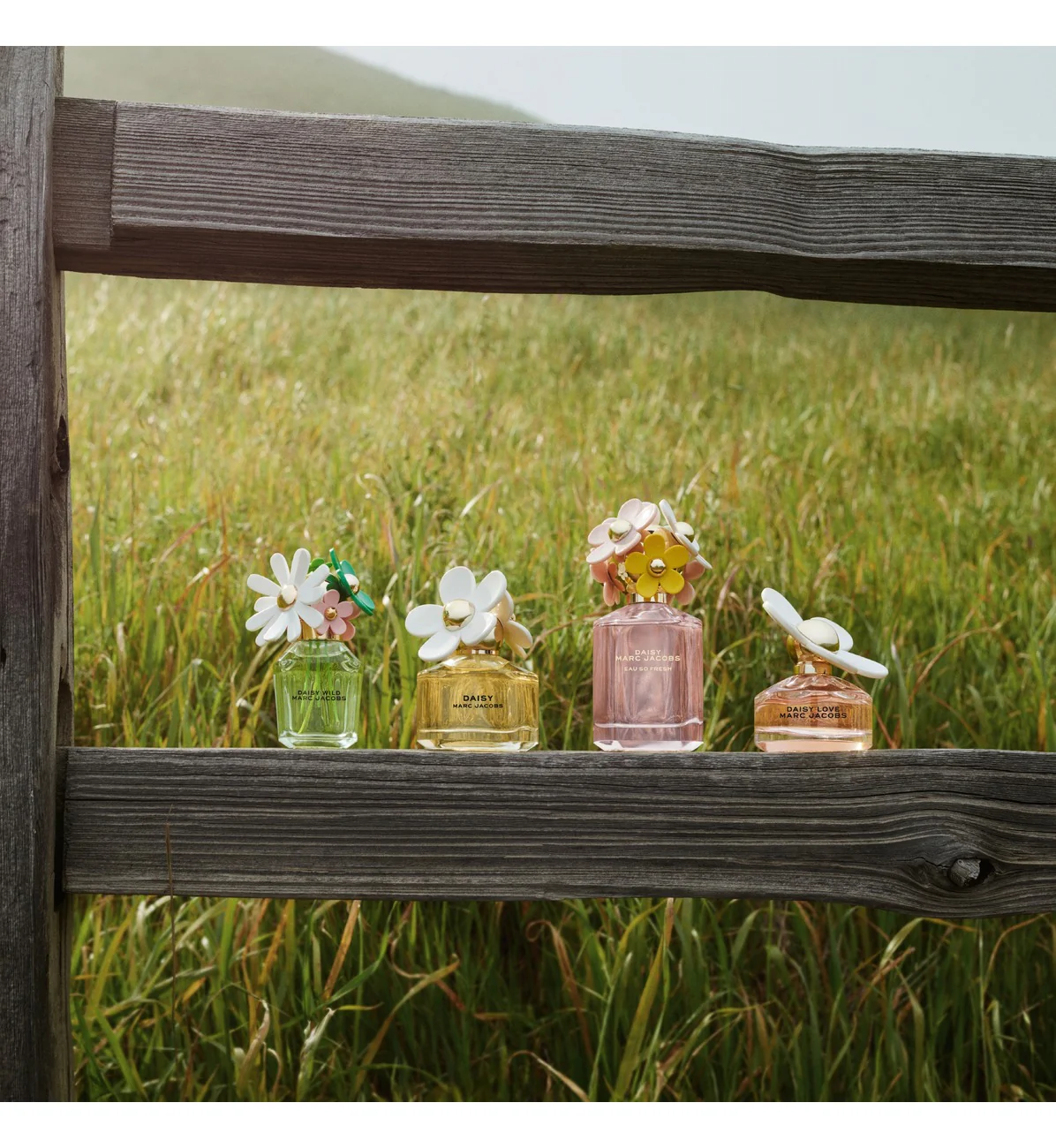 Marc Jacobs Daisy Wild Eau So Intense Eau de Parfum (Various Sizes) - Image 10